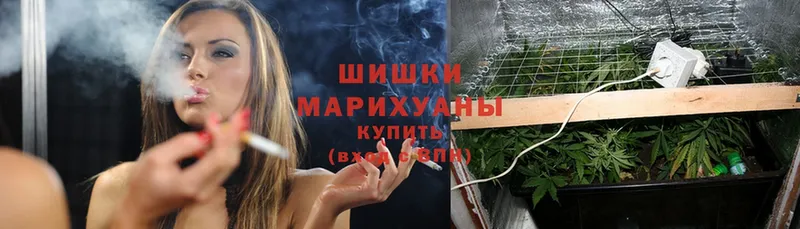 дарк нет телеграм  Мамоново  Каннабис White Widow 